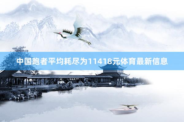 中国跑者平均耗尽为11418元体育最新信息