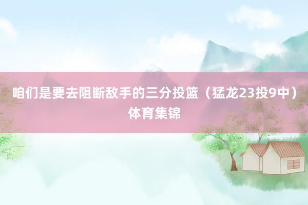 咱们是要去阻断敌手的三分投篮（猛龙23投9中）体育集锦
