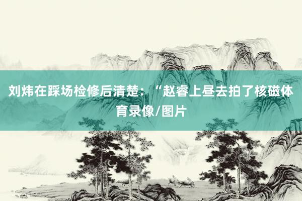 刘炜在踩场检修后清楚：“赵睿上昼去拍了核磁体育录像/图片