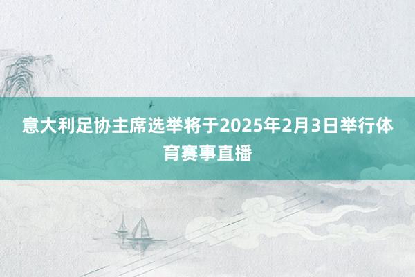 意大利足协主席选举将于2025年2月3日举行体育赛事直播