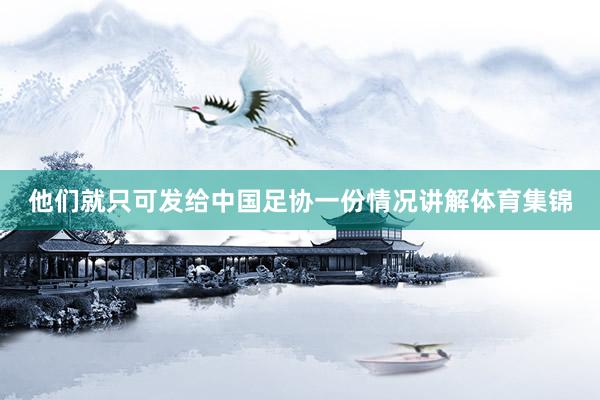 他们就只可发给中国足协一份情况讲解体育集锦