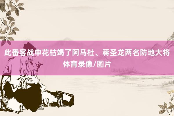 此番客战申花枯竭了阿马杜、蒋圣龙两名防地大将体育录像/图片