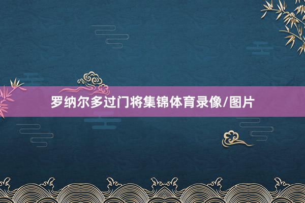罗纳尔多过门将集锦体育录像/图片