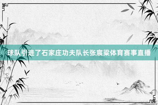 球队引进了石家庄功夫队长张宸粱体育赛事直播