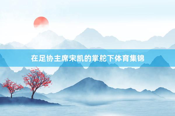 在足协主席宋凯的掌舵下体育集锦