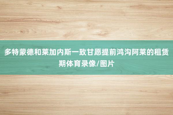 多特蒙德和莱加内斯一致甘愿提前鸿沟阿莱的租赁期体育录像/图片