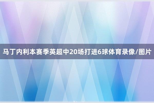 马丁内利本赛季英超中20场打进6球体育录像/图片