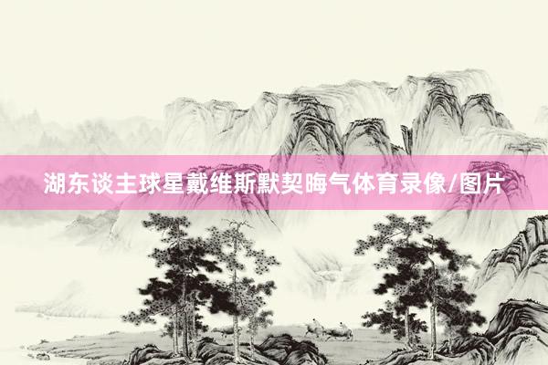 湖东谈主球星戴维斯默契晦气体育录像/图片