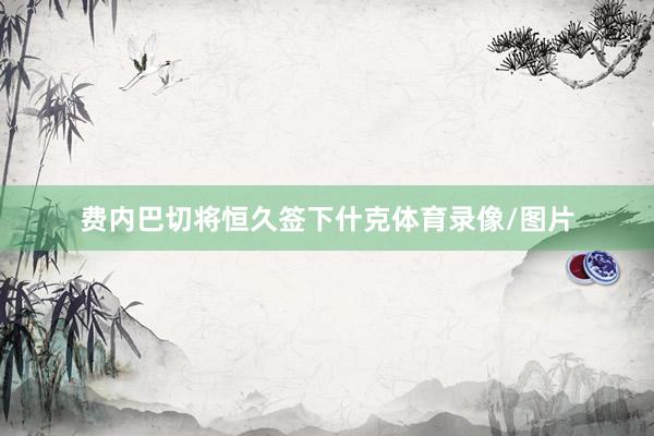 费内巴切将恒久签下什克体育录像/图片