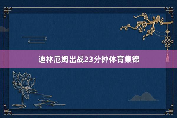 迪林厄姆出战23分钟体育集锦