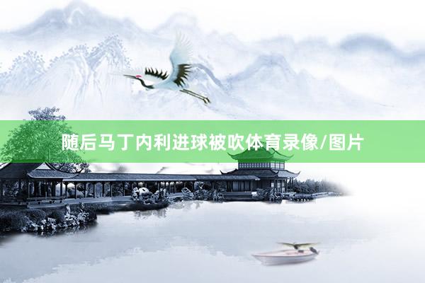 随后马丁内利进球被吹体育录像/图片