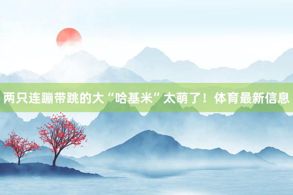两只连蹦带跳的大“哈基米”太萌了！体育最新信息