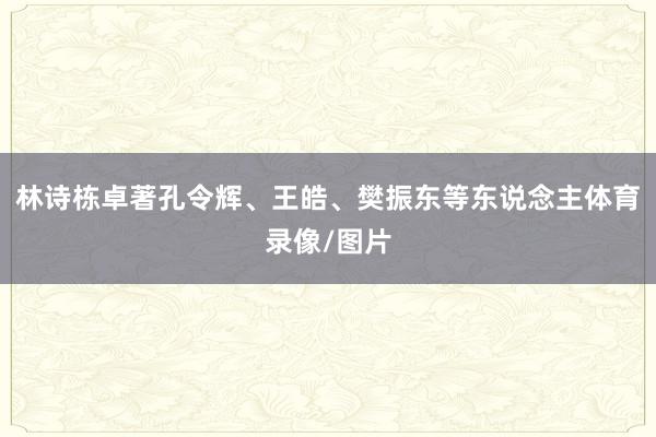 林诗栋卓著孔令辉、王皓、樊振东等东说念主体育录像/图片