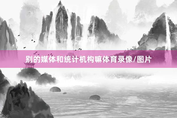 别的媒体和统计机构嘛体育录像/图片