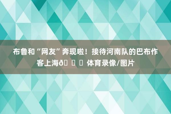 布鲁和“网友”奔现啦！接待河南队的巴布作客上海👏体育录像/图片