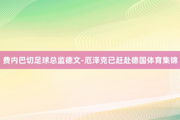 费内巴切足球总监德文-厄泽克已赶赴德国体育集锦