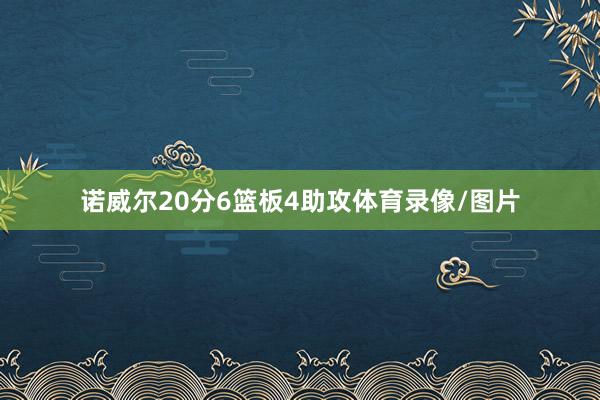 诺威尔20分6篮板4助攻体育录像/图片