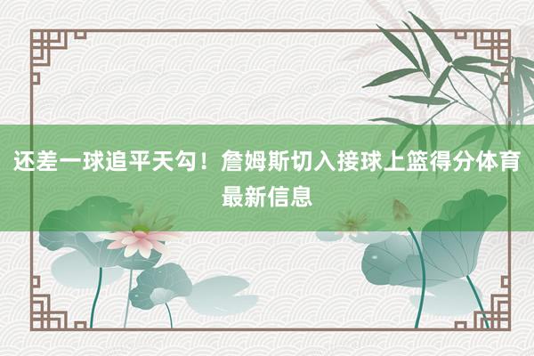 还差一球追平天勾！詹姆斯切入接球上篮得分体育最新信息