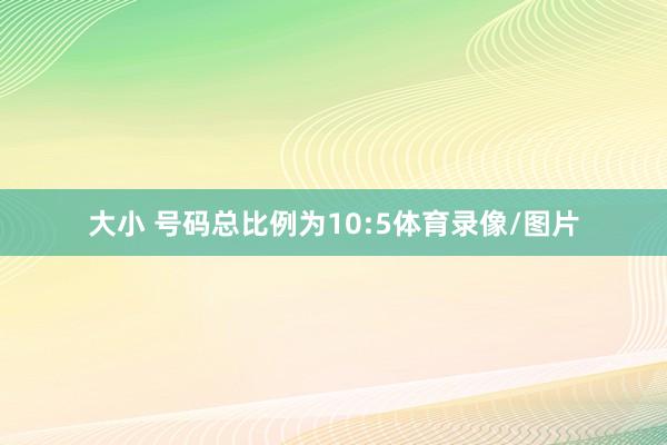 大小 号码总比例为10:5体育录像/图片
