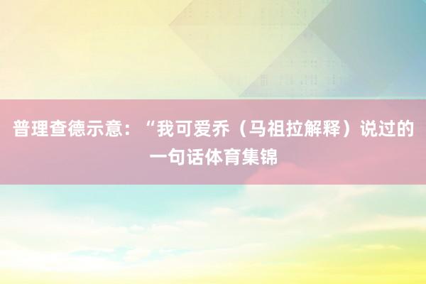 普理查德示意:“我可爱乔(马祖拉解释)说过的一句话体育集锦