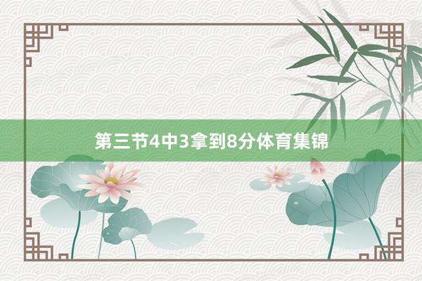第三节4中3拿到8分体育集锦