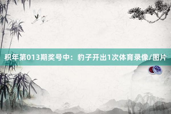 积年第013期奖号中：豹子开出1次体育录像/图片