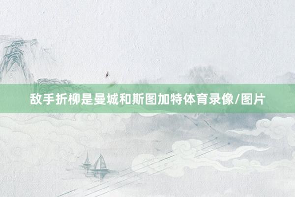 敌手折柳是曼城和斯图加特体育录像/图片