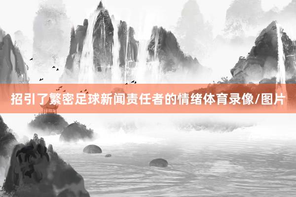 招引了繁密足球新闻责任者的情绪体育录像/图片