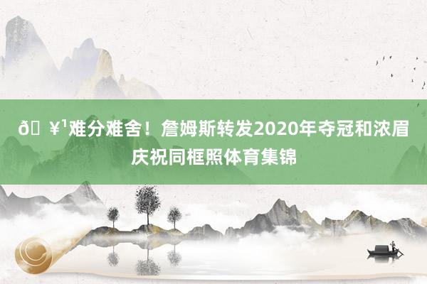 🥹难分难舍！詹姆斯转发2020年夺冠和浓眉庆祝同框照体育集锦