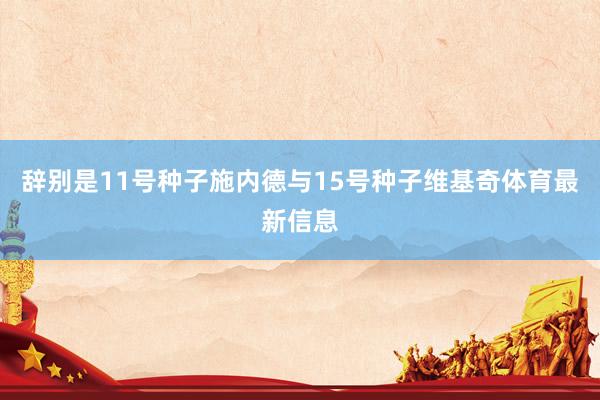 辞别是11号种子施内德与15号种子维基奇体育最新信息