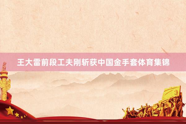 王大雷前段工夫刚斩获中国金手套体育集锦