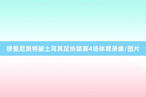穆里尼奥将被土耳其足协禁赛4场体育录像/图片