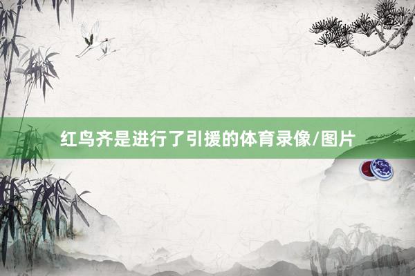 红鸟齐是进行了引援的体育录像/图片