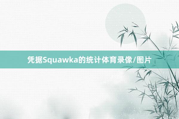 凭据Squawka的统计体育录像/图片
