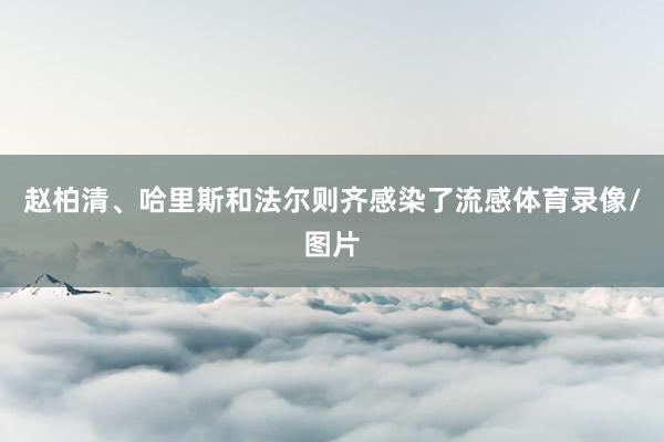 赵柏清、哈里斯和法尔则齐感染了流感体育录像/图片