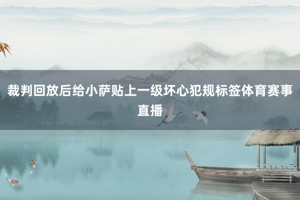 裁判回放后给小萨贴上一级坏心犯规标签体育赛事直播