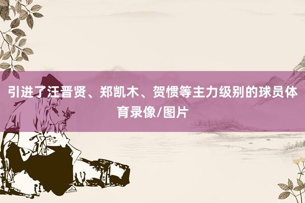 引进了汪晋贤、郑凯木、贺惯等主力级别的球员体育录像/图片