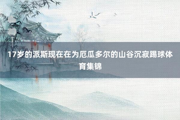 17岁的派斯现在在为厄瓜多尔的山谷沉寂踢球体育集锦