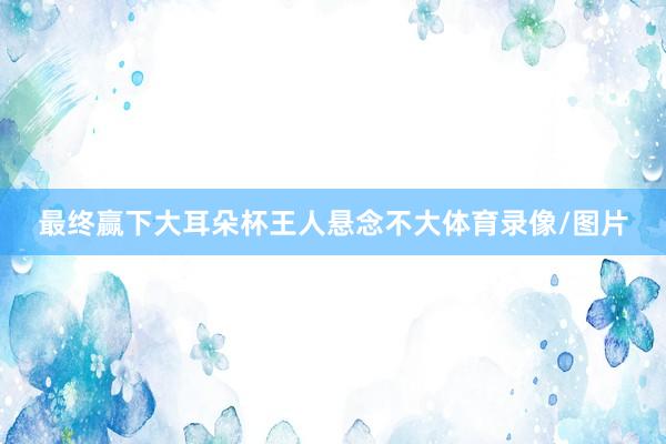 最终赢下大耳朵杯王人悬念不大体育录像/图片