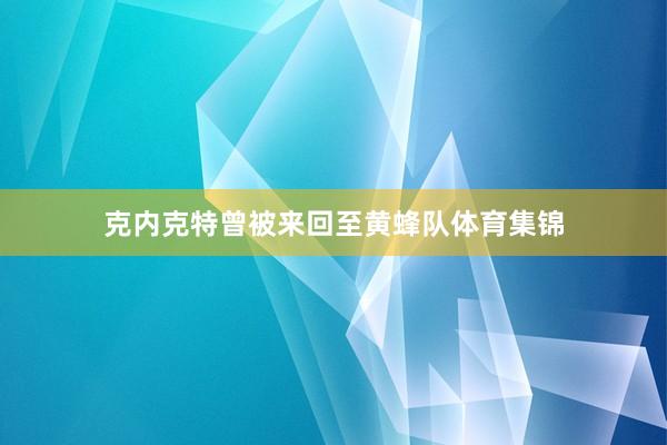 克内克特曾被来回至黄蜂队体育集锦
