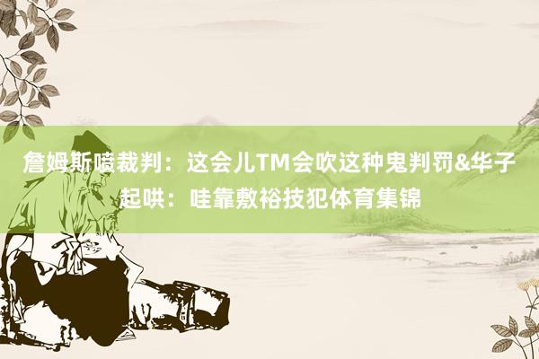 詹姆斯喷裁判：这会儿TM会吹这种鬼判罚&华子起哄：哇靠敷裕技犯体育集锦