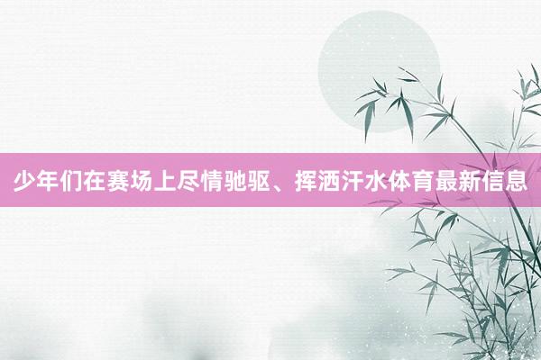 少年们在赛场上尽情驰驱、挥洒汗水体育最新信息