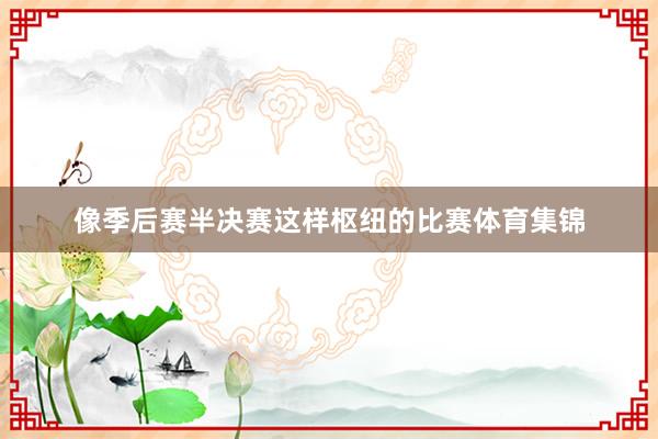 像季后赛半决赛这样枢纽的比赛体育集锦