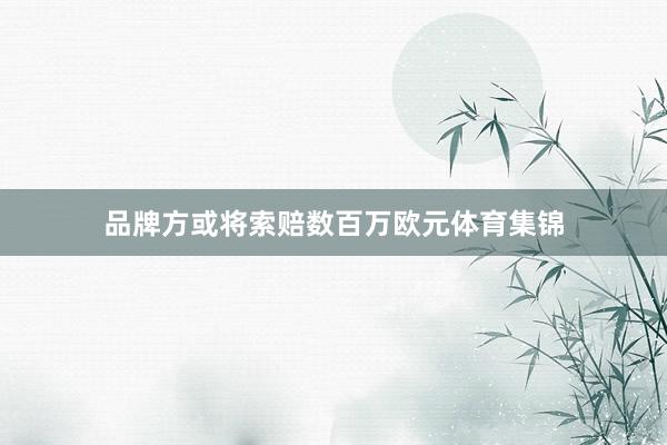 品牌方或将索赔数百万欧元体育集锦