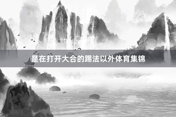 是在打开大合的踢法以外体育集锦