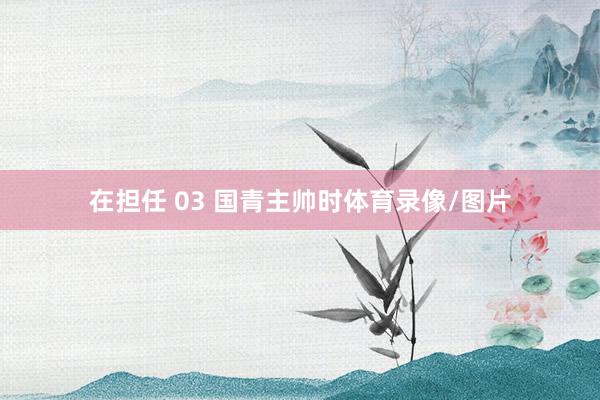 在担任 03 国青主帅时体育录像/图片