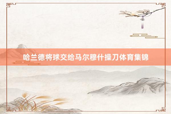 哈兰德将球交给马尔穆什操刀体育集锦