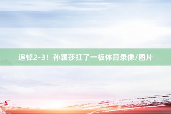 追悼2-3！孙颖莎扛了一板体育录像/图片