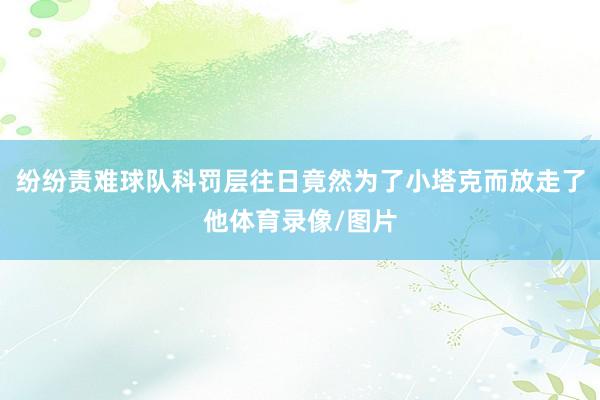 纷纷责难球队科罚层往日竟然为了小塔克而放走了他体育录像/图片