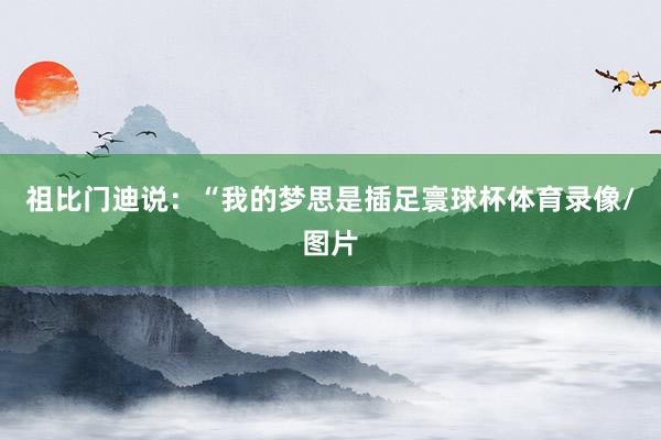 祖比门迪说：“我的梦思是插足寰球杯体育录像/图片
